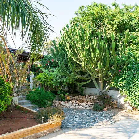 Villa Tropical Ayia Napa