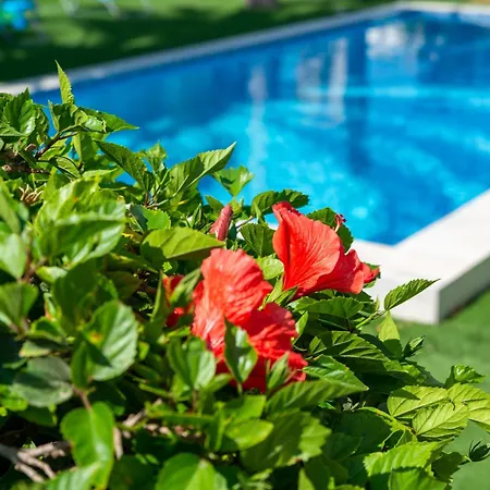 Tropical Villa Ayia Napa
